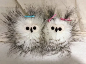 Bertie Owlet Jellycat | Jelly Journal