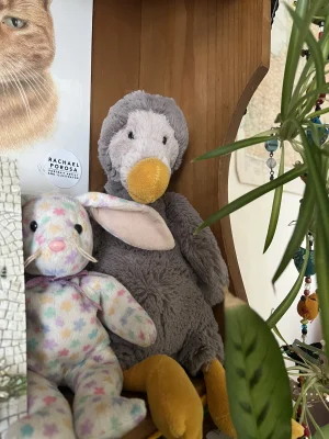 A photo of Bashful Dodo Jellycat taken by buttstalin