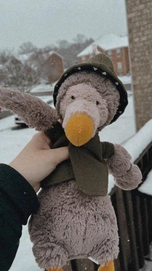 Bashful Dodo Jellycat photo