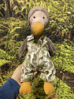 A photo of Bashful Dodo Jellycat taken by Jellython7732