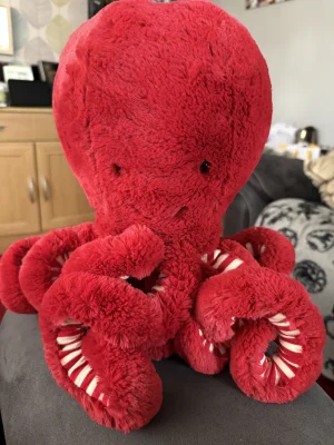 A photo of Cranberry Octopus Jellycat taken by Nicola_Barnett