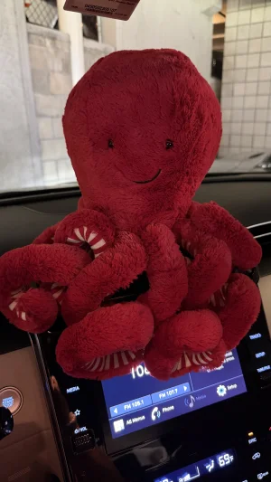 A photo of Cranberry Octopus Jellycat taken by bronzieandthejellies