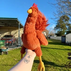 Robbie Rooster Jellycat photo uploaded by herbgardenplush