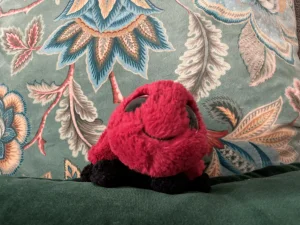 Frizzles Ladybird Jellycat photo