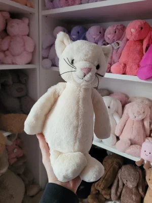 Bashful Cream Kitten Jellycat | Jelly Journal