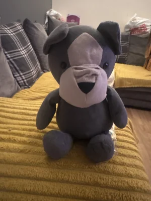 A photo of Fido French Bulldog Jellycat taken by Donna_jellys56