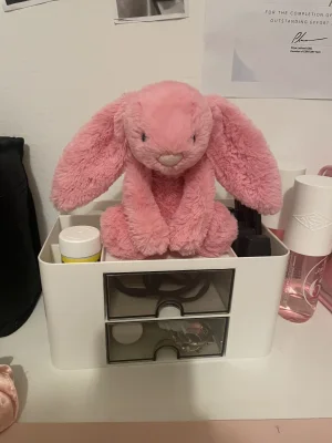 A photo of Bashful Sorbet Bunny - Tiny Jellycat taken by Jellylover2026