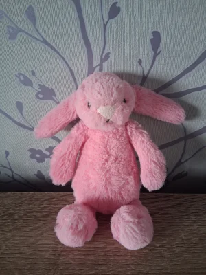 A photo of Bashful Sorbet Bunny - Tiny Jellycat taken by Hope_Collectablez