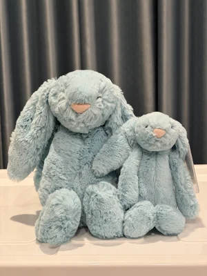 Bashful Aqua Bunny - Medium Jellycat photo