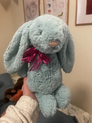 Bashful Aqua Bunny - Medium Jellycat | Jelly Journal