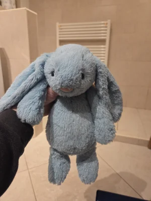 Bashful Aqua Bunny - Medium Jellycat photo