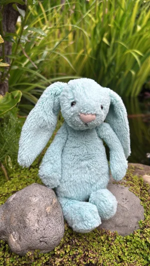 Bashful Aqua Bunny - Small Jellycat | Jelly Journal