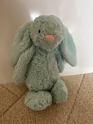 Bashful Aqua Bunny - Small Jellycat photo uploaded by Jellytastic
