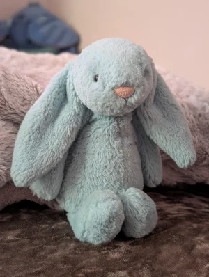 Bashful Aqua Bunny - Small Jellycat | Jelly Journal