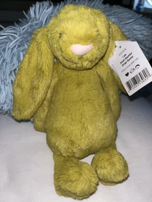 A photo of Bashful Zingy Bunny - Small Jellycat taken by pops88