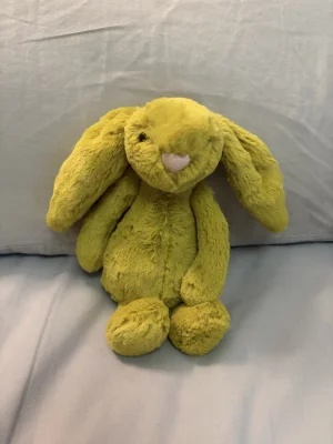 Bashful Zingy Bunny - Small Jellycat photo uploaded by twigletfitz