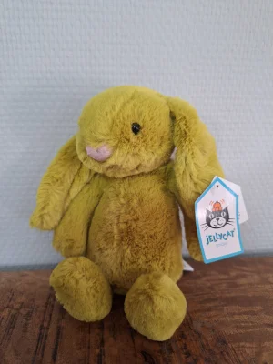 A photo of Bashful Zingy Bunny - Small Jellycat taken by Sofie