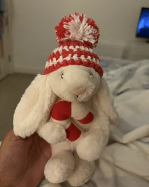 Bashful Bunny with Candy Cane Jellycat photo uploaded by Seni113