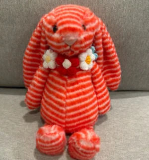 A photo of Bashful Evey Bunny Jellycat taken by HALEY'SJELLIES