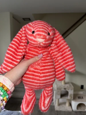 A photo of Bashful Evey Bunny Jellycat taken by alinsey