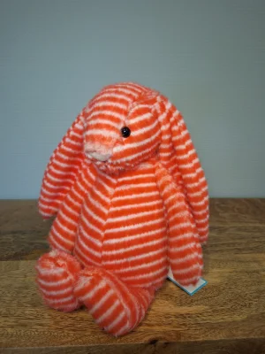A photo of Bashful Evey Bunny Jellycat taken by Sofie
