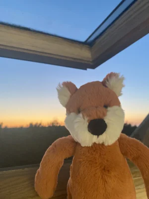 Bashful Fox Cub - Small Jellycat photo