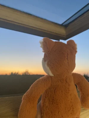 Bashful Fox Cub - Small Jellycat photo