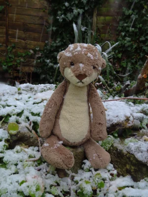 Bashful Otter - Medium Jellycat | Jelly Journal