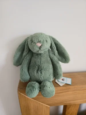 A photo of Bashful Ivy Bunny Jellycat taken by Becks100