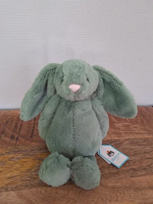 Bashful Ivy Bunny Jellycat | Jelly Journal