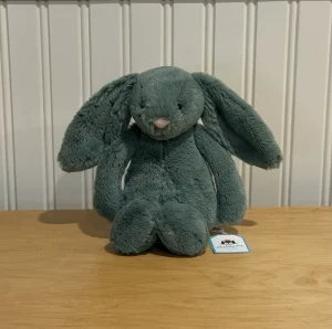 Bashful Ivy Bunny Jellycat | Jelly Journal