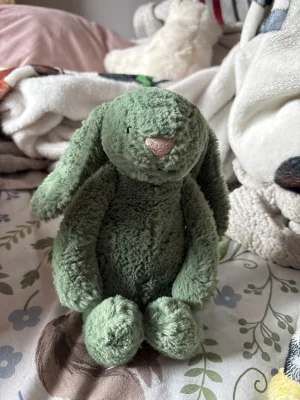 Bashful Ivy Bunny Jellycat | Jelly Journal