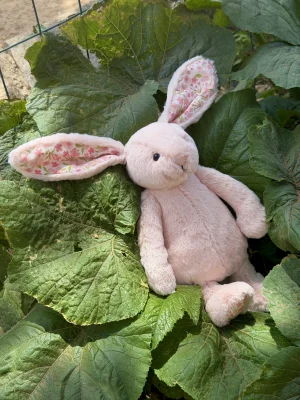 Blossom Blush Bunny 'Cherry' - Small Jellycat photo