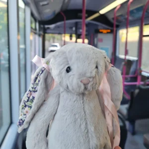 Blossom Silver Bunny 'Bloom' - Small Jellycat photo