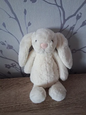 Bashful Cream Bunny - Small Jellycat photo uploaded by Hope_Collectablez
