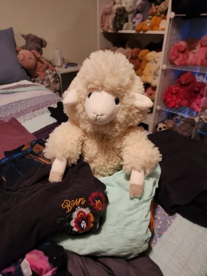 Bibbly Bobbly Sheep Jellycat photo uploaded by emilliebee