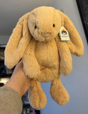 A photo of Bashful Honey Bunny - Medium Jellycat taken by Stephmarie207