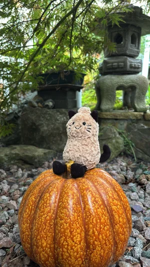 Amuseables Peanut Cat Outfit Jellycat photo