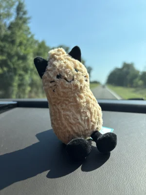 Amuseables Peanut Cat Outfit Jellycat photo