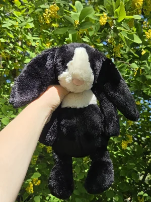 Bashful Dutch Bunny - Medium Jellycat photo uploaded by Eliza23