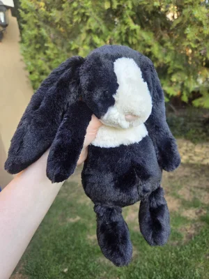 Bashful Dutch Bunny - Medium Jellycat photo