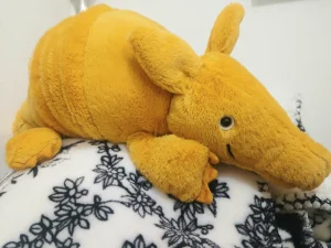 Vividie Armadillo Jellycat photo uploaded by Birdy