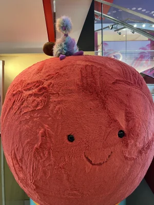 A photo of Rainbow Pompom Jellycat taken by travelerstoys