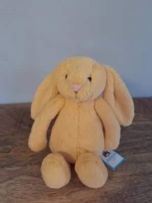 Bashful Sunshine Bunny - Small Jellycat | Jelly Journal