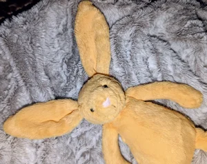 Bashful Sunshine Bunny - Small Jellycat | Jelly Journal