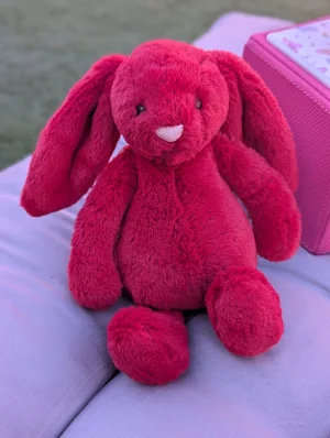 Bashful Cranberry Bunny Jellycat photo