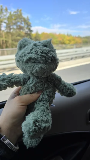 Squiggle Frog Jellycat photo