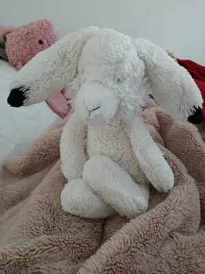 Arlo Hare Jellycat photo