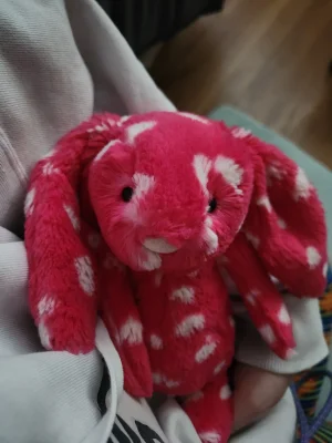 A photo of Josie Bashful Bunny Jellycat taken by emilliebee