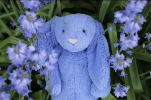 A photo of Bashful Bluebell Bunny - Medium Jellycat taken by lottylovesjellycats